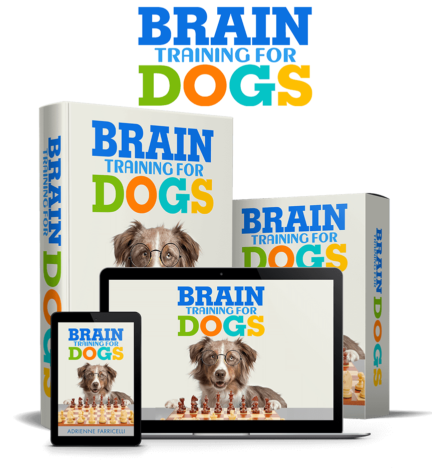breinopleiding vir honde