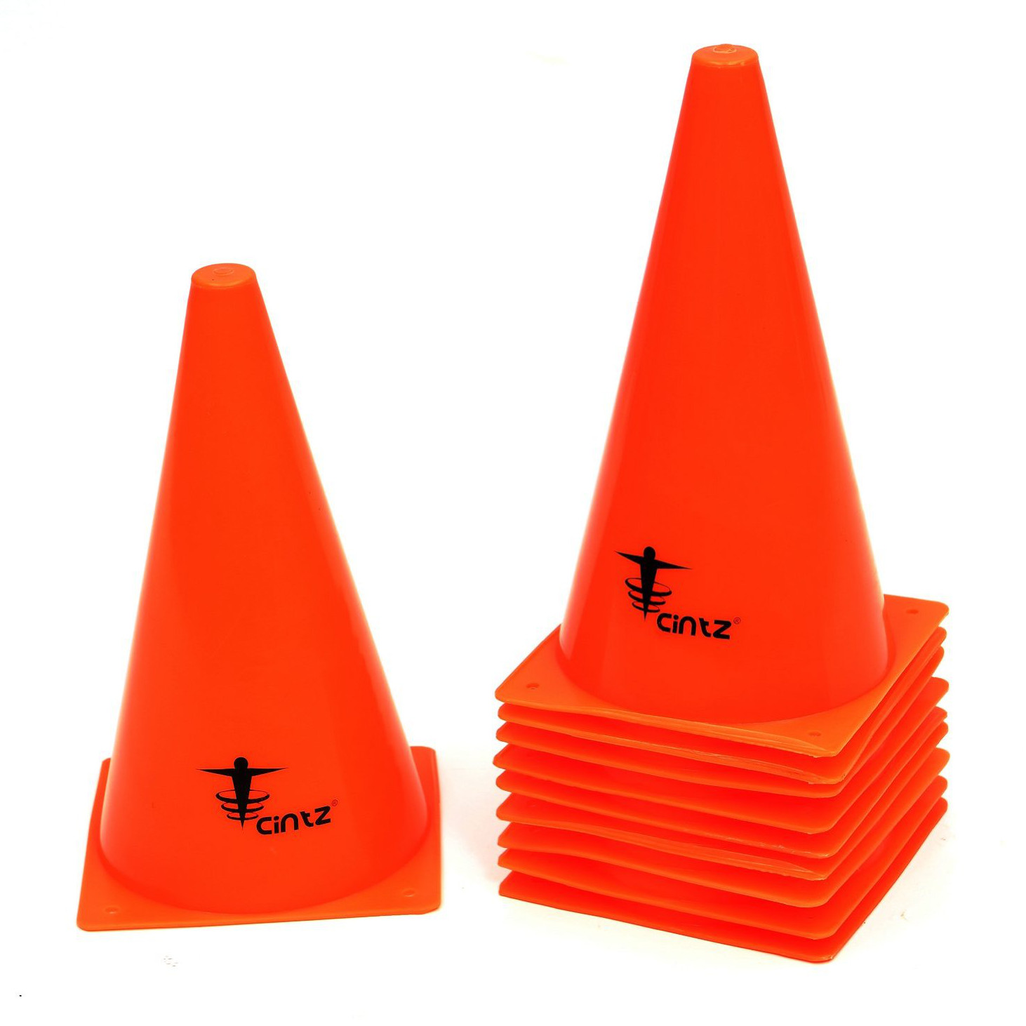 Brain Training For Dogs Items Brain Training for Dogs