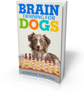 My Brain Training for Dogs course offers