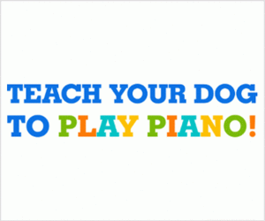 Teach your dog piano!