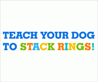 dog trained to play with ring stackers