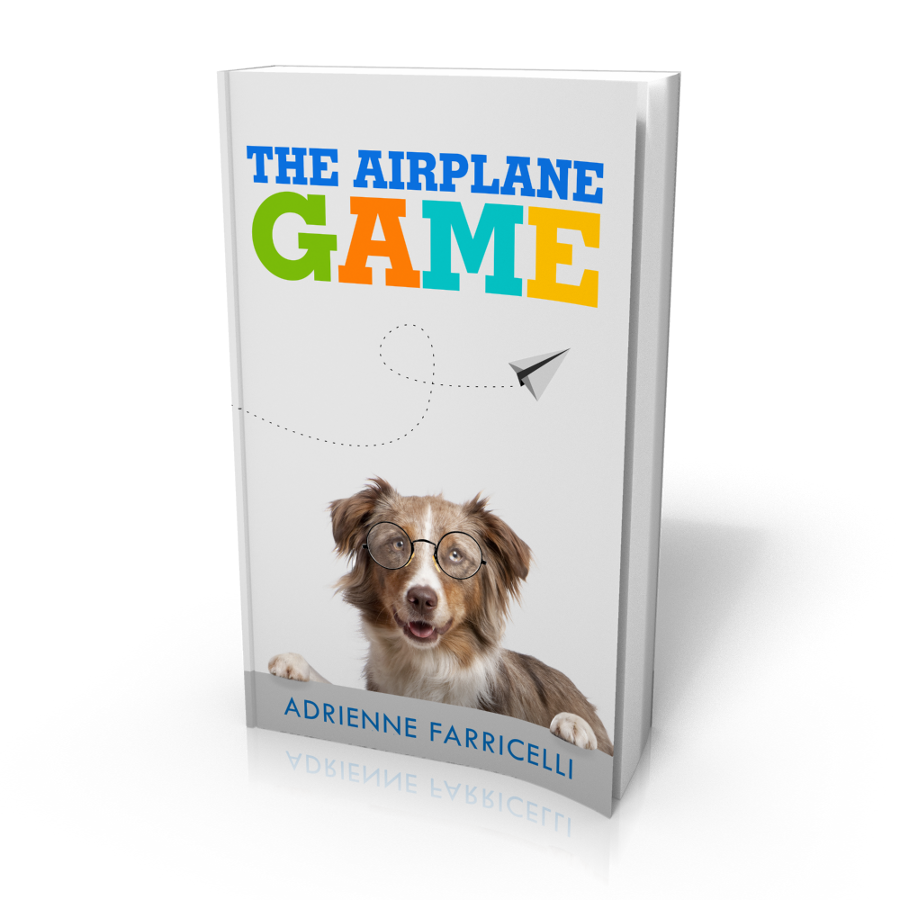 The Airplane Game 3D Cover